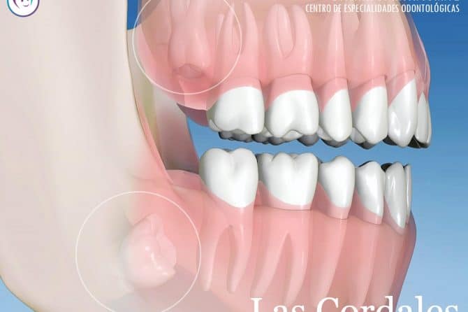 CORDALES-DIVINASONRISA-670x446