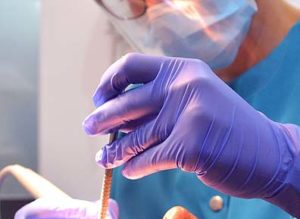 odontologia-general-divina-sonrisa